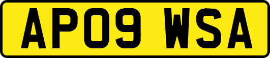 AP09WSA