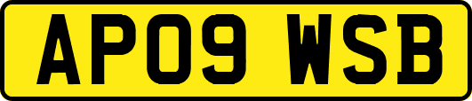 AP09WSB
