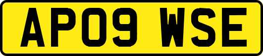 AP09WSE