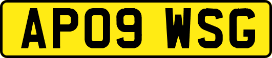 AP09WSG