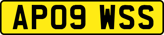 AP09WSS