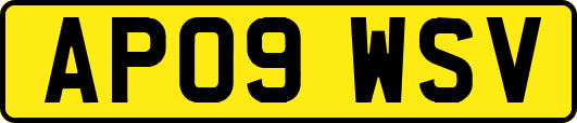 AP09WSV