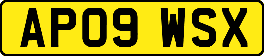 AP09WSX