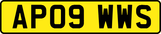 AP09WWS