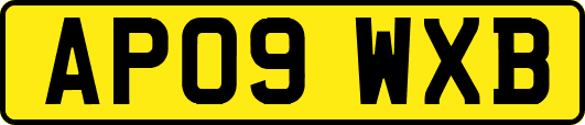 AP09WXB
