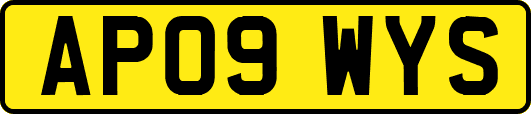 AP09WYS