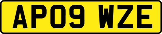 AP09WZE