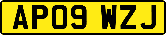AP09WZJ