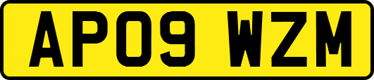 AP09WZM
