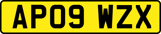 AP09WZX