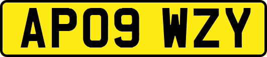 AP09WZY