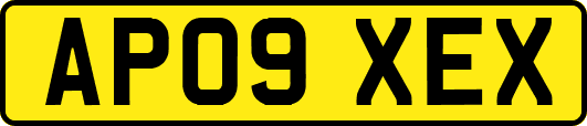 AP09XEX