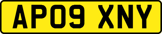 AP09XNY