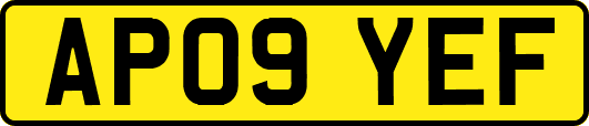AP09YEF