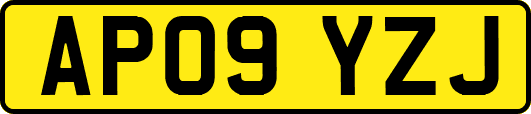 AP09YZJ