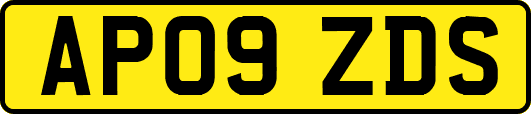 AP09ZDS