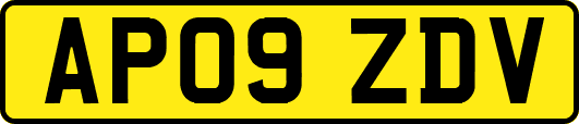 AP09ZDV