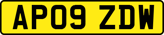 AP09ZDW