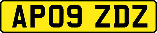 AP09ZDZ