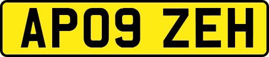 AP09ZEH