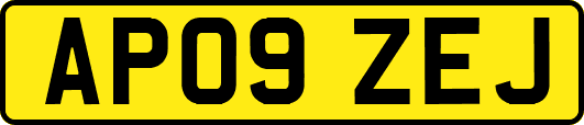 AP09ZEJ