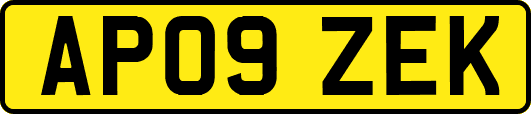 AP09ZEK