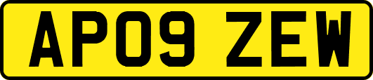 AP09ZEW
