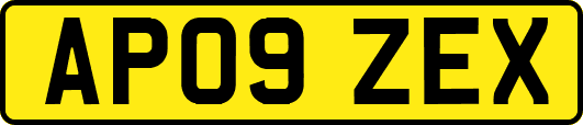 AP09ZEX