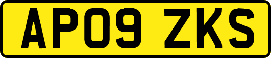 AP09ZKS