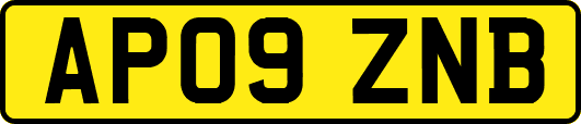 AP09ZNB