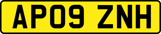 AP09ZNH