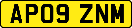 AP09ZNM
