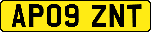 AP09ZNT
