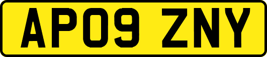 AP09ZNY
