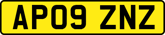 AP09ZNZ