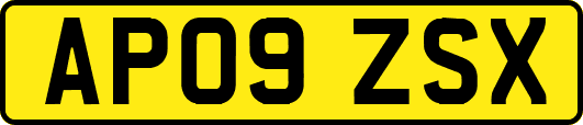 AP09ZSX