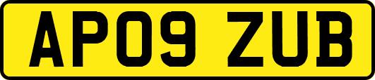 AP09ZUB