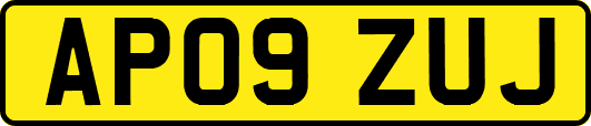 AP09ZUJ