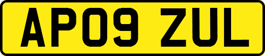 AP09ZUL