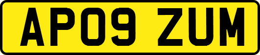 AP09ZUM