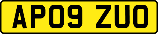AP09ZUO