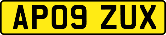 AP09ZUX