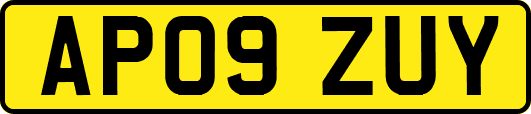 AP09ZUY