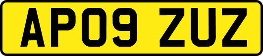 AP09ZUZ