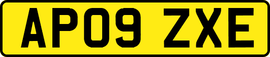 AP09ZXE