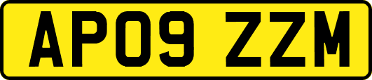 AP09ZZM