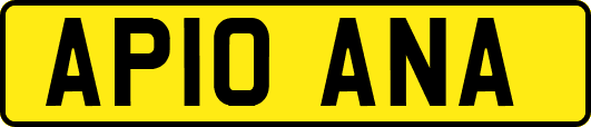 AP10ANA