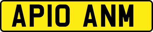 AP10ANM