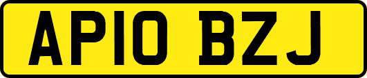 AP10BZJ