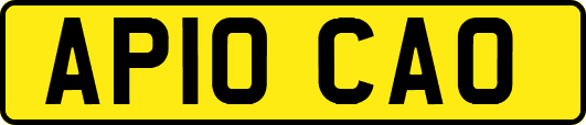 AP10CAO